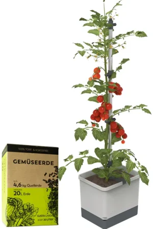 GUSTA GARDEN TOM TOMATO met Aarde, Blauw - Premiumkwaliteit