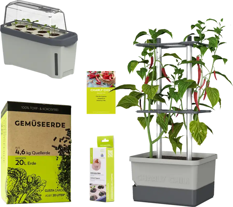 GUSTA GARDEN CHARLY CHILI Starter Set, Lichtgrijs | Beste prijs