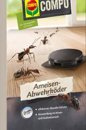 COMPO Biologische Mierenlokdoos, 2 stuks | Net toegevoegd