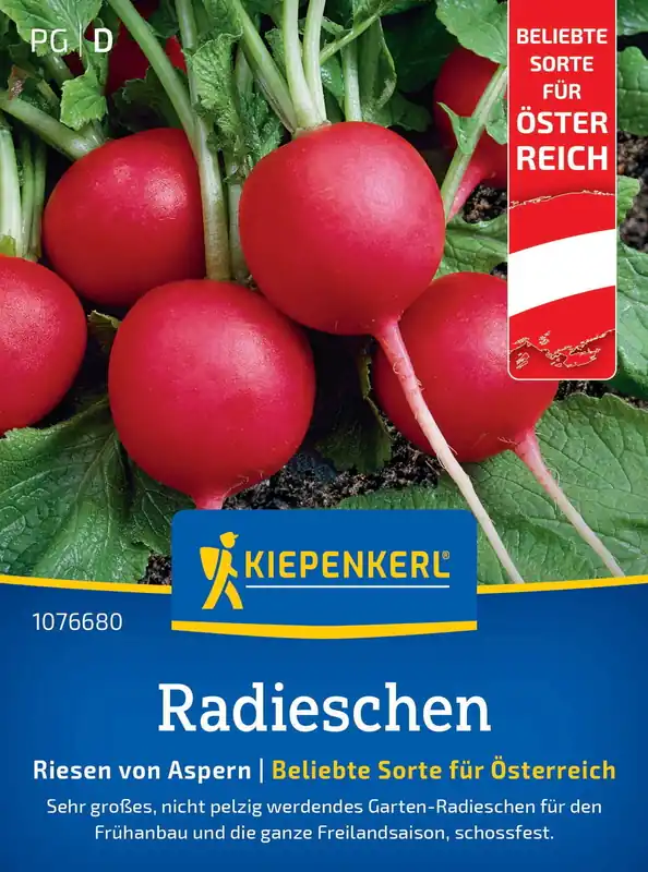 Kiepenkerl Radijs Riesen von Aspern - Nu beschikbaar