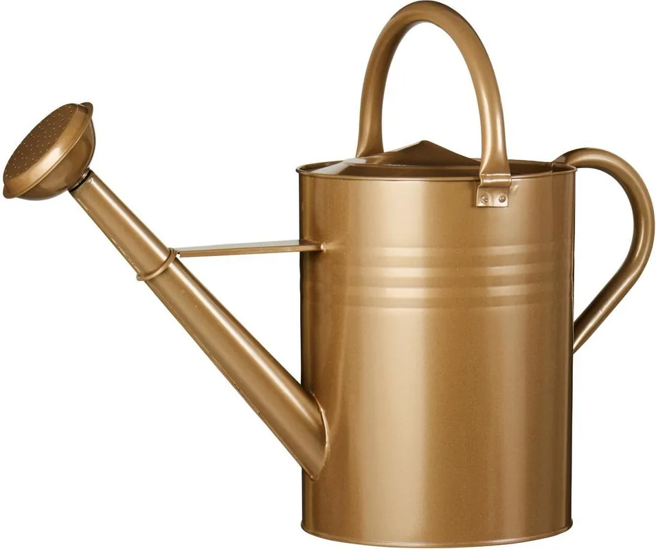 IB Laursen Gieter met Broes - 11 Liter, Zink - Topprijs