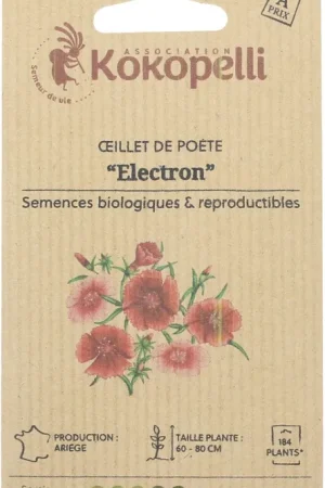 Snelle levering - Kokopelli Biologische Duizendschoon "Electron", 200 Korrels