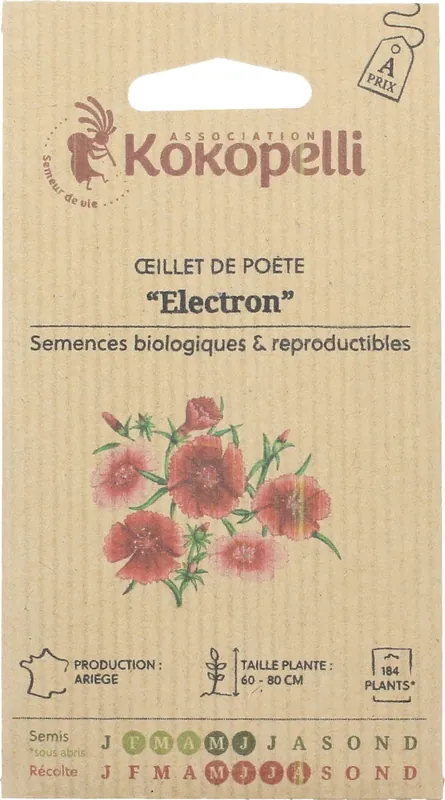 Snelle levering - Kokopelli Biologische Duizendschoon "Electron", 200 Korrels