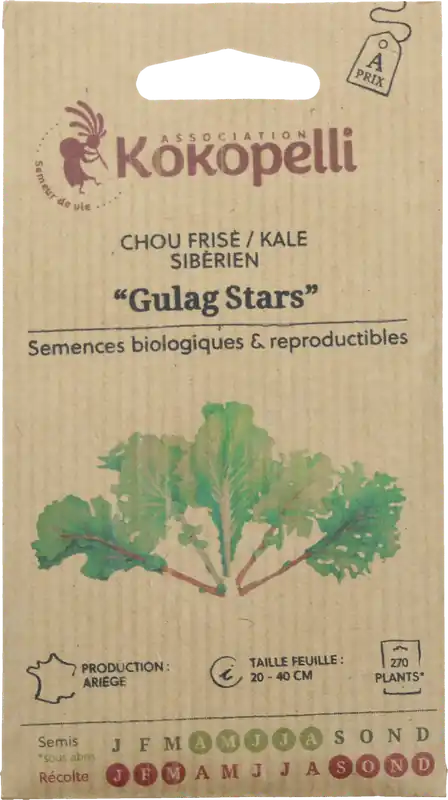 Kokopelli Biologische Boerenkool "Sibirischer Gulag Stars", 300 Korrels | Professionele kwaliteit