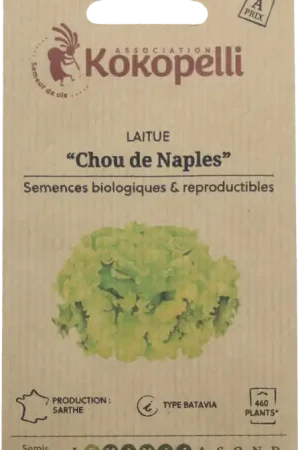 Nieuw in de shop - Kokopelli Biologische Bataviasla "Chou de Naples", 1 g