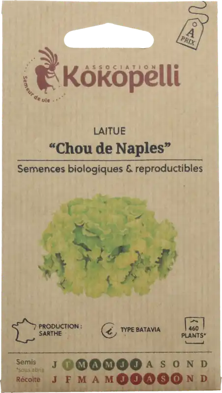 Nieuw in de shop - Kokopelli Biologische Bataviasla "Chou de Naples", 1 g