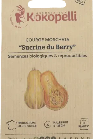 Kokopelli Biologische Muskaatpompoen "Sucrine du Berry", 12 Korrels - Snelle verzending