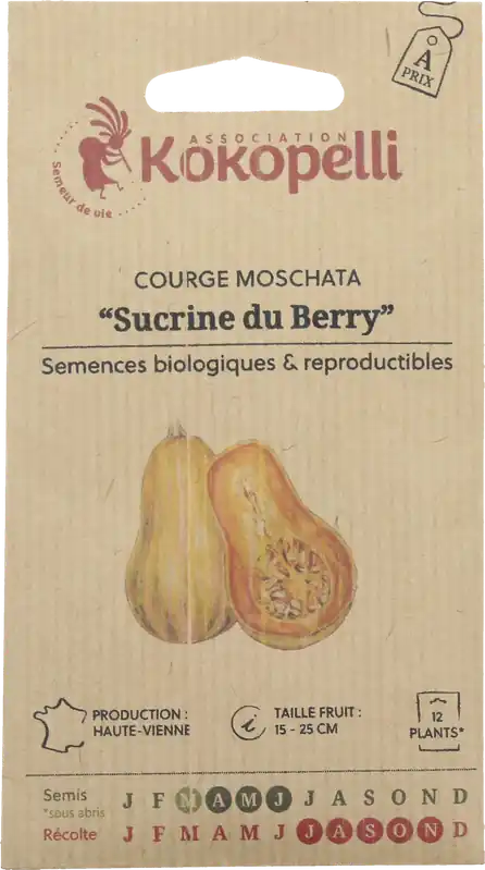 Kokopelli Biologische Muskaatpompoen "Sucrine du Berry", 12 Korrels - Snelle verzending