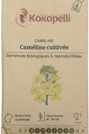 Kokopelli Biologische Huttentut (Olievlas), 30 g - Vanaf nu beschikbaar