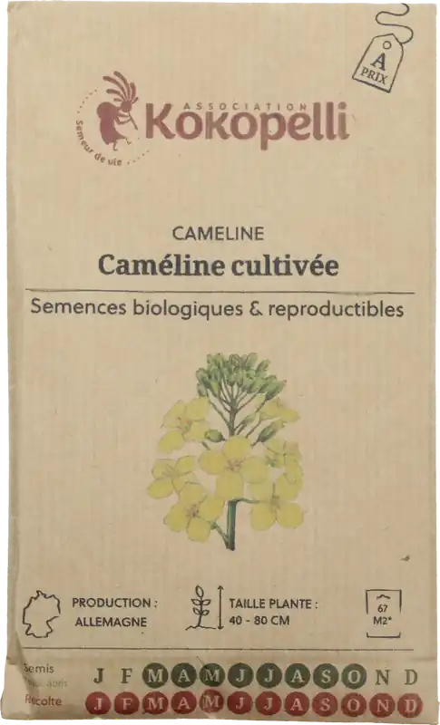 Kokopelli Biologische Huttentut (Olievlas), 30 g - Vanaf nu beschikbaar