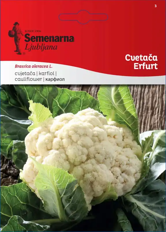 Semenarna Ljubljana Bloemkoolzaden "Erfurt", 2,50 g - Nieuw in het assortiment
