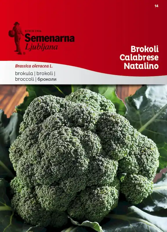 Spoedlevering - Semenarna Ljubljana Broccolizaden "Calabrese Natalino", 5 g