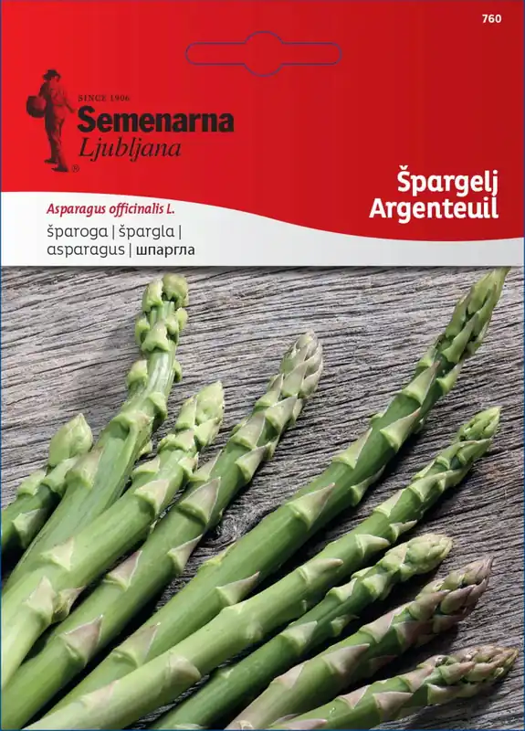 Verlaagde prijs - Semenarna Ljubljana Aspergezaden "Argenteuil", 2 g