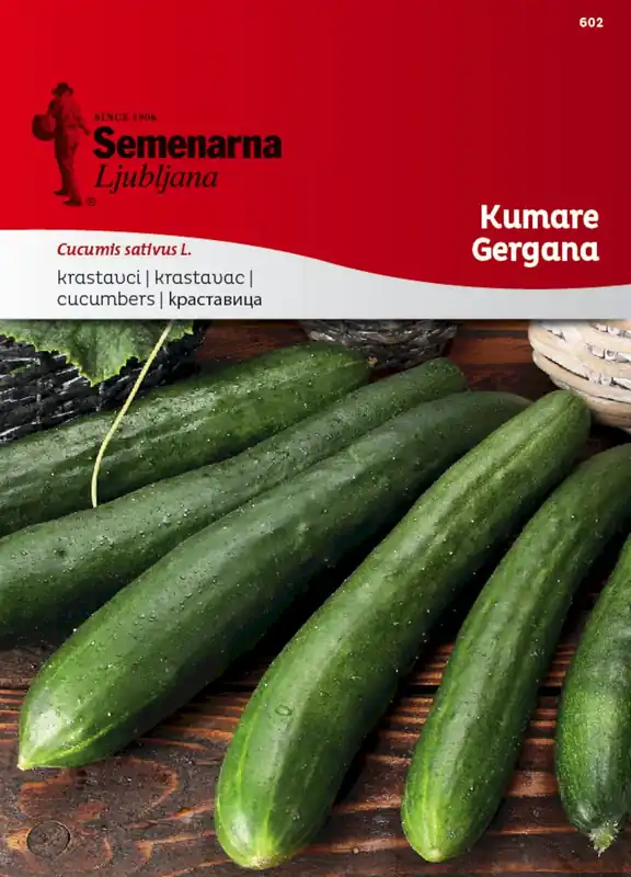 Uitverkoop - Semenarna Ljubljana Komkommerzaden "Gergana", 1,50 g