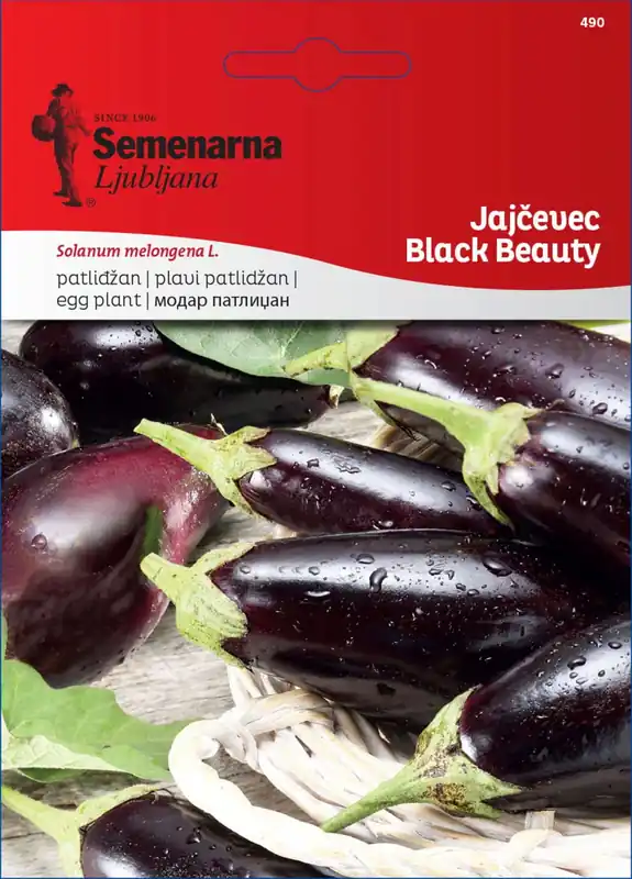 Professionele kwaliteit - Semenarna Ljubljana Auberginezaden "Black Beauty", 2 g