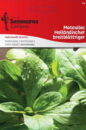 Klantfavoriet - Semenarna Ljubljana Veldsla-zaden "Holländischer Breitblättriger", 80 g