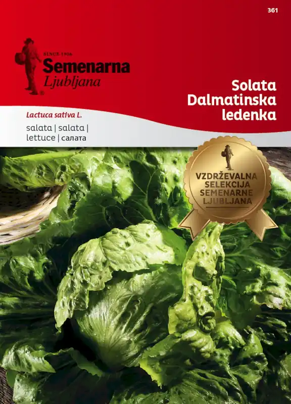 Semenarna Ljubljana IJsbergsla-zaden "Dalmatinska Ledenka", 5 g | Korting