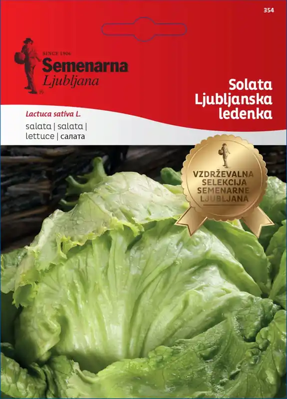 Uitverkoop | Semenarna Ljubljana IJsbergsla-zaden "Ljubljanska Ledenka", 5 g