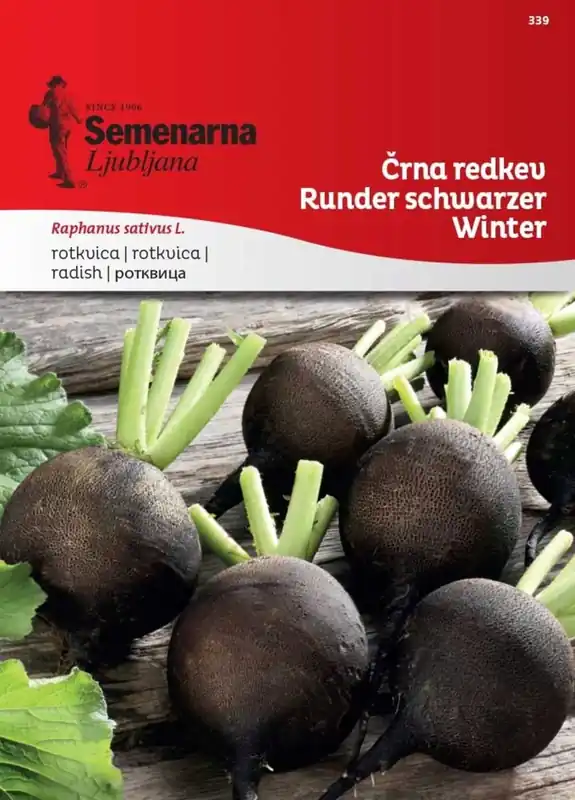 Direct leverbaar - Semenarna Ljubljana Tuinradijszaden "Runder Schwarzer Winter", 8 g