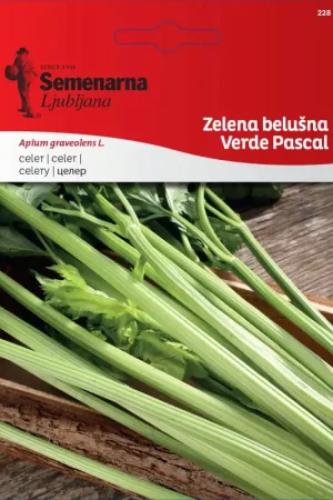 Goed beoordeeld - Semenarna Ljubljana Bleekselderijzaden "Verde Pascal", 4 g