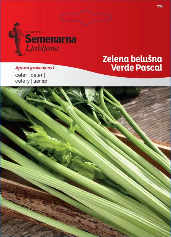 Goed beoordeeld - Semenarna Ljubljana Bleekselderijzaden "Verde Pascal", 4 g