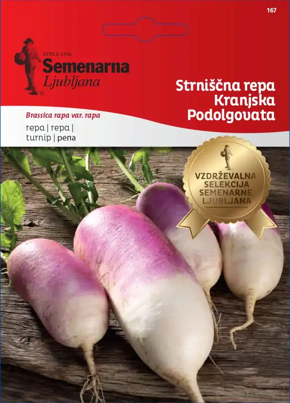 Semenarna Ljubljana Knolraap-zaden "Kranjska Podolgovata", 10 g - Eenvoudig retourneren