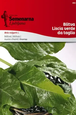 Outlet - Semenarna Ljubljana Snijbietzaden "Verde da Taglio", 8 g