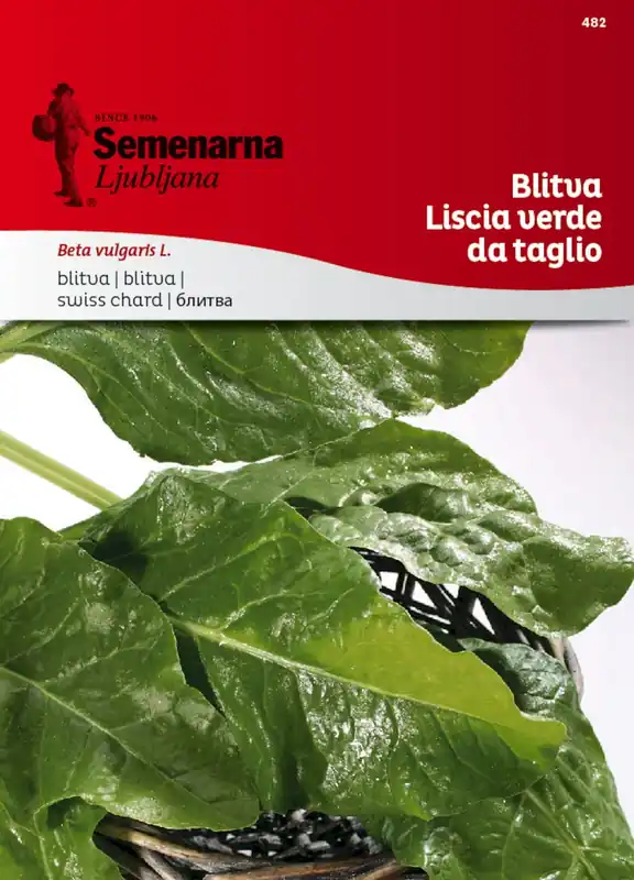 Outlet - Semenarna Ljubljana Snijbietzaden "Verde da Taglio", 8 g