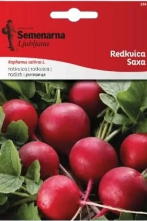Semenarna Ljubljana Radijszaden "Saxa", 5 g - Expreslevering