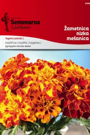 Semenarna Ljubljana Afrikaantjes-zaden (Laag) – Mix, 2 g - Nog enkele stuks
