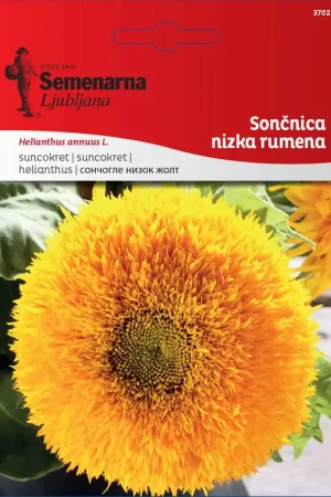 Semenarna Ljubljana Zonnebloemzaden (Laag, Geel), 4 g - Deal