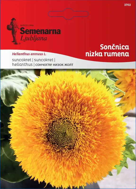 Semenarna Ljubljana Zonnebloemzaden (Laag, Geel), 4 g - Deal