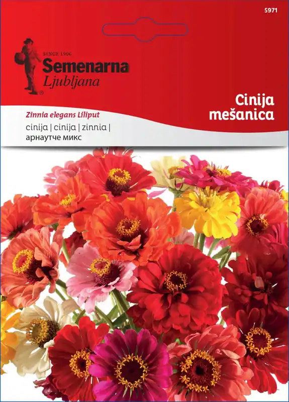 Semenarna Ljubljana Zinnia-zaden - Mix, 3 g | Veilige betaling