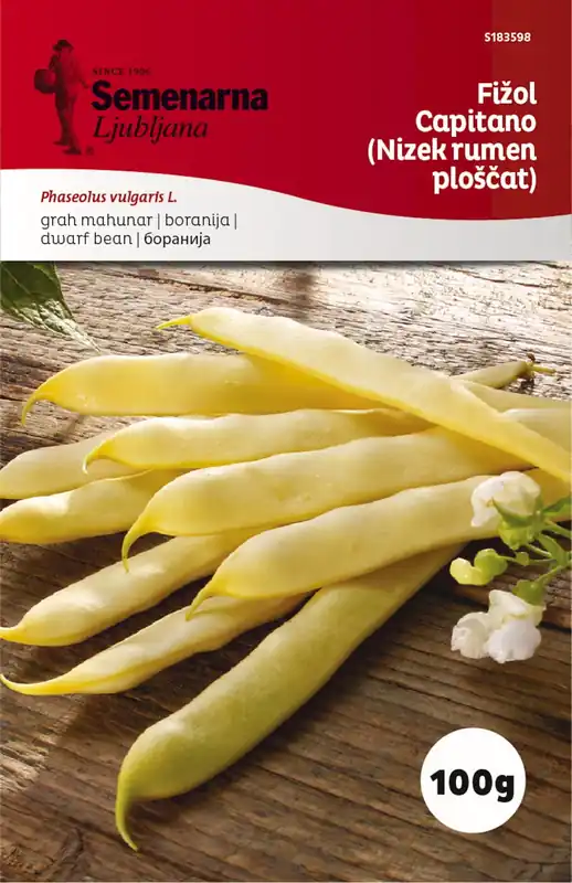 Laatste kans | Semenarna Ljubljana Stamboonzaden "Capitano" (Laag, Geel, Plat), 100 g