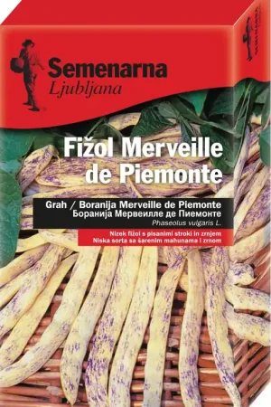 Semenarna Ljubljana Stamboon "Merveille de Piemonte", 200 g | Direct beschikbaar