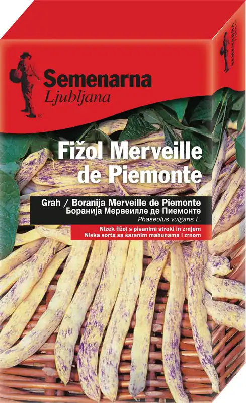 Semenarna Ljubljana Stamboon "Merveille de Piemonte", 200 g | Direct beschikbaar