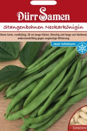 Voeg toe aan winkelwagen | Dürr Samen Stokboonzaden "Neckarkönigin", 100 Korrels