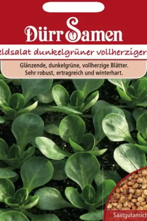 Superprijs | Dürr Samen Veldsla-zaden "Dunkelgrüner Vollherziger", 4.000 Korrels