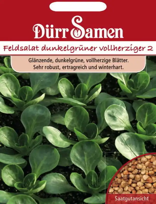 Superprijs | Dürr Samen Veldsla-zaden "Dunkelgrüner Vollherziger", 4.000 Korrels