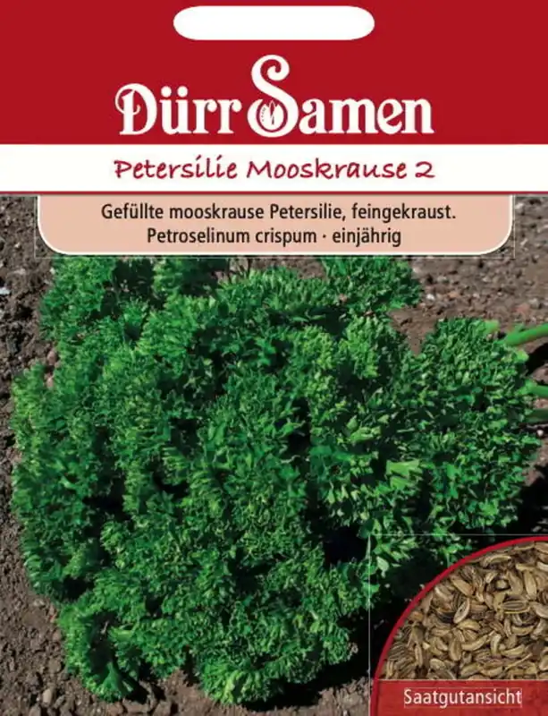 Dürr Samen Peterseliezaden "Gefüllte Mooskrause", 2.000 Korrels - Nieuw in het assortiment