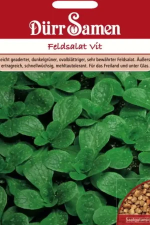 Klaar voor verzending - Dürr Samen Veldslazaden "Vit", 4.000 Korrels