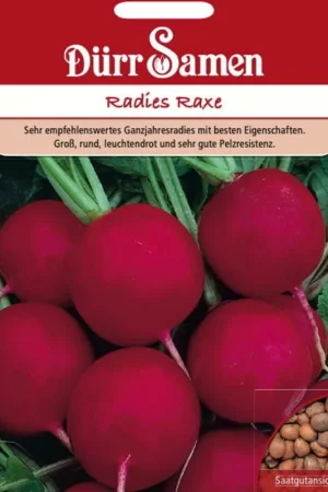 Favoriet van klanten | Dürr Samen Radijszaden "Raxe", 750 Korrels