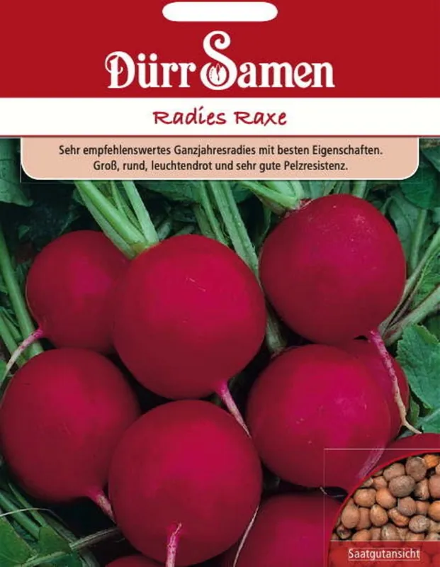 Favoriet van klanten | Dürr Samen Radijszaden "Raxe", 750 Korrels
