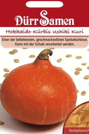 Laatste dagen | Dürr Samen Pompoenzaden "Hokkaido-Kürbis Uchiki Kuri", 8 Korrels