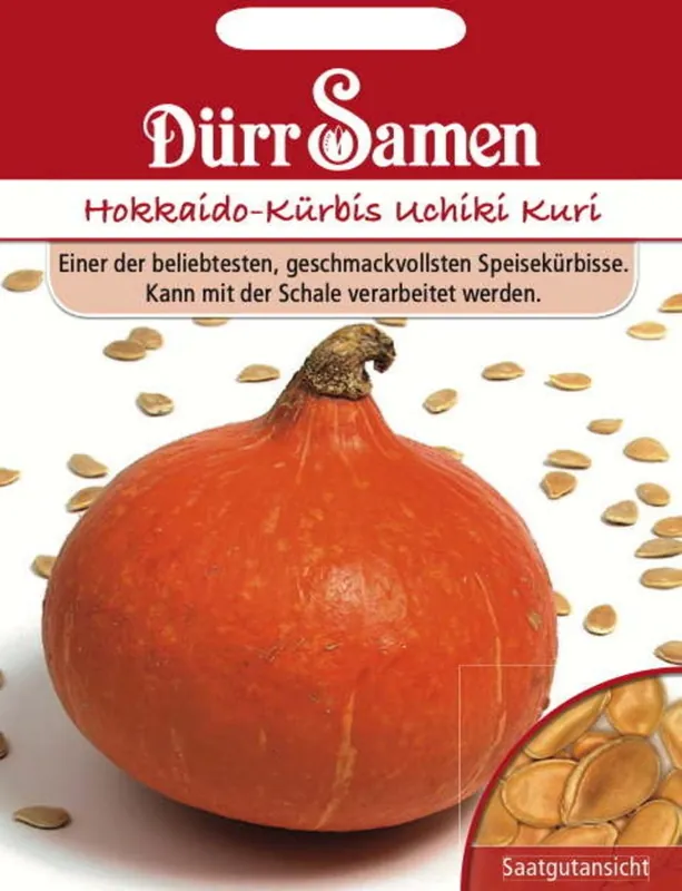 Laatste dagen | Dürr Samen Pompoenzaden "Hokkaido-Kürbis Uchiki Kuri", 8 Korrels