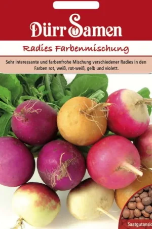 Direct bestellen - Dürr Samen Radijszaden "Farbenmischung", 500 Korrels