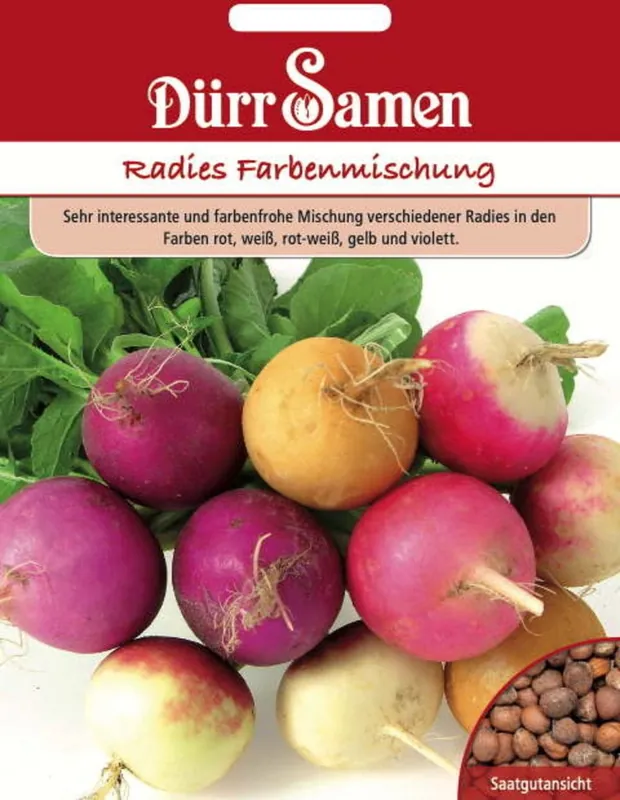 Direct bestellen - Dürr Samen Radijszaden "Farbenmischung", 500 Korrels