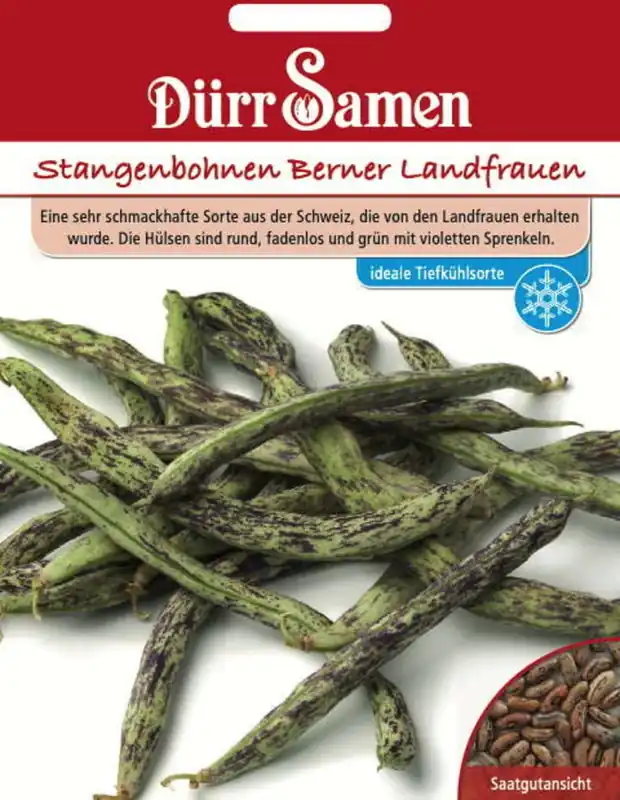 Dürr Samen Stokboon "Berner Landfrauen", 80 Korrels - Topdeal