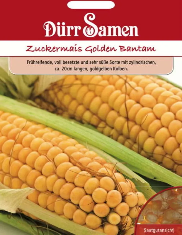 Dürr Samen Suikermaiszaden "Golden Bantam", 65 Korrels - Eenvoudig retourneren