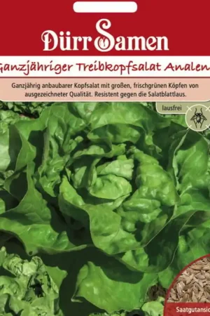 Online kopen | Dürr Samen Sla-zaden "Analena", 100 Korrels